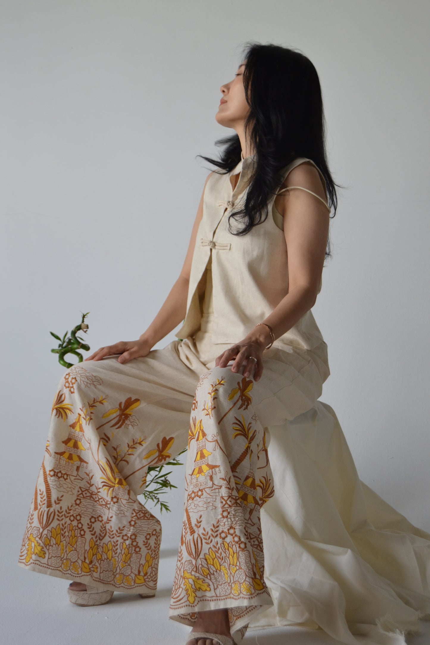 Brown and yellow Embroidered Pants